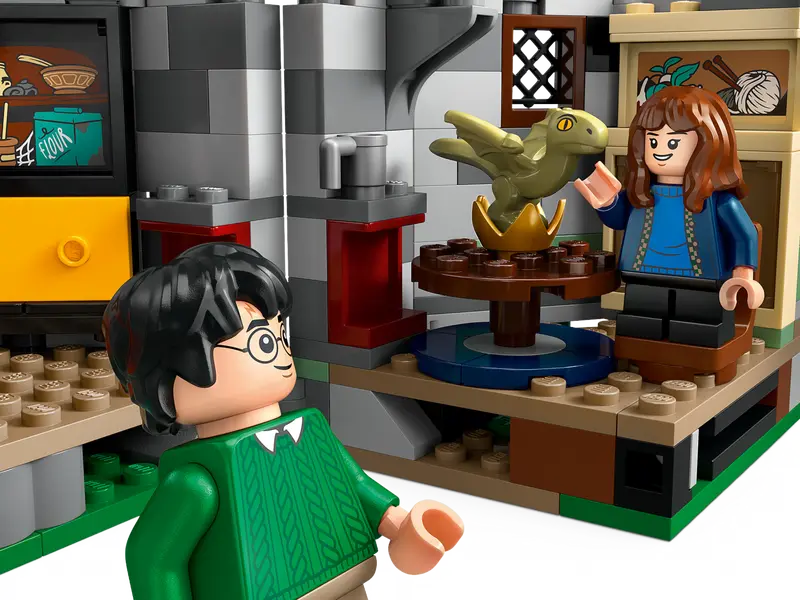 Visite de la cabane de Hagrid Harry Potter et ses amis (76428)