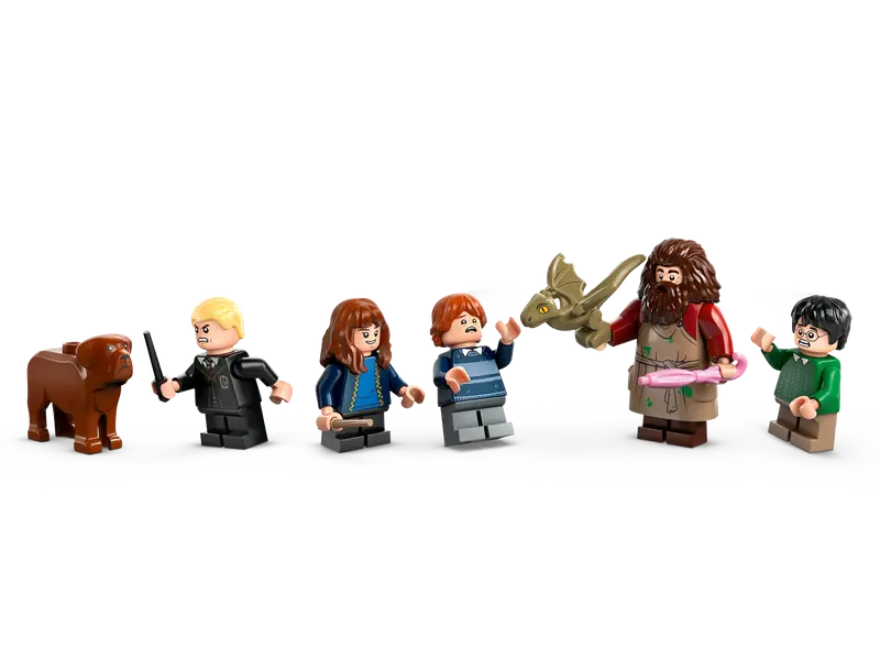 Visite de la cabane de Hagrid Harry Potter et ses amis (76428)