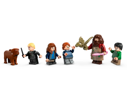 Visite de la cabane de Hagrid Harry Potter et ses amis (76428)