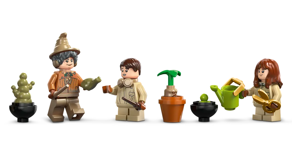 Lezione di Erbologia del Castello di Hogwarts (76445)