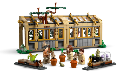 Lezione di Erbologia del Castello di Hogwarts (76445)