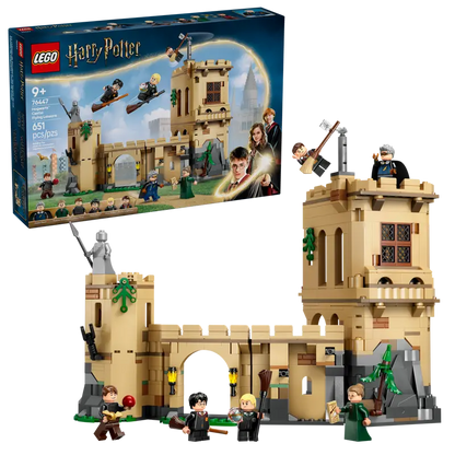 Flugstunde im Schloss Hogwarts (76447)