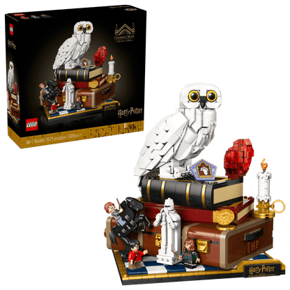 Pierre du Sorcier – Édition Collector (76466)