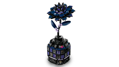 Dalia nera (76784)