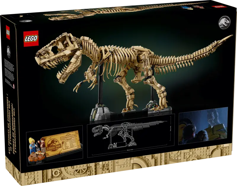 Fossiles de dinosaures Tyrannosaurus rex (76968)