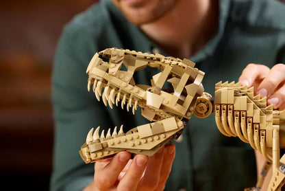 Dinosaurierfossilien Tyrannosaurus Rex (76968)