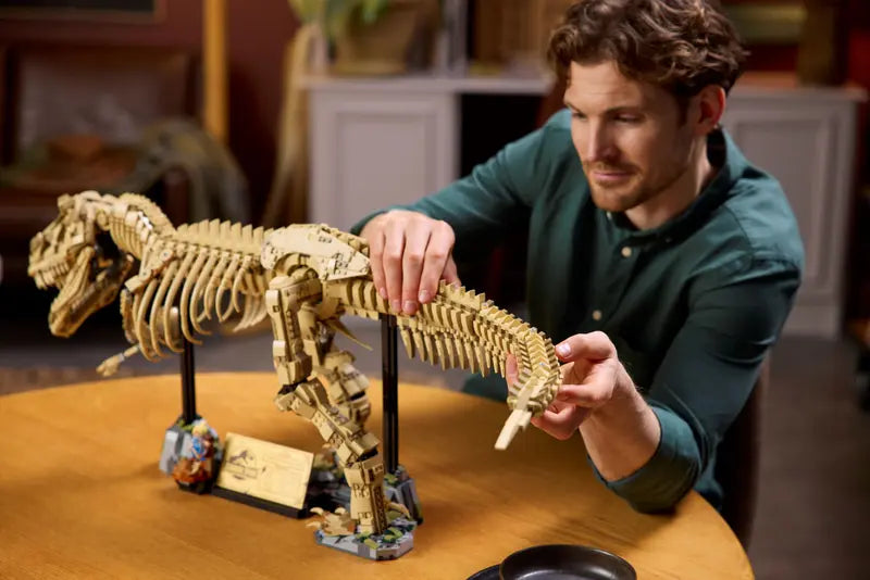 Dinosaurierfossilien Tyrannosaurus Rex (76968)