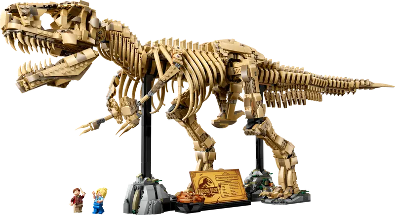 Dinosaurierfossilien Tyrannosaurus Rex (76968)