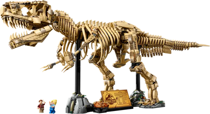 Dinosaurierfossilien Tyrannosaurus Rex (76968)