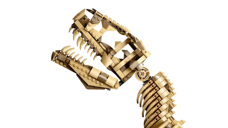 Dinosaurierfossilien Tyrannosaurus Rex (76968)