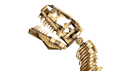 Dinosaurierfossilien Tyrannosaurus Rex (76968)