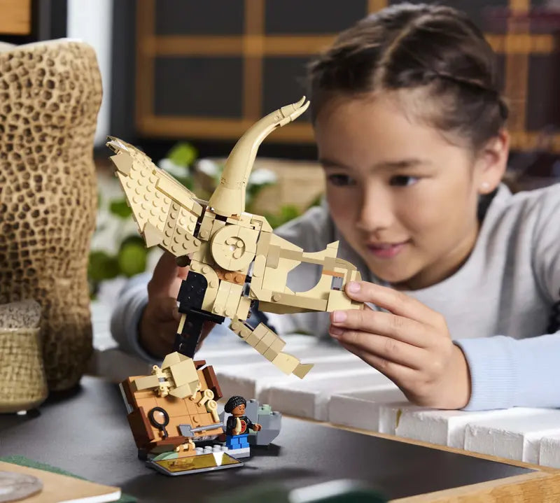 Dinosaurierfossilien Triceratops-Schädel (76969)