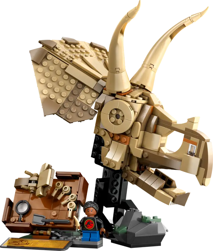 Dinosaurierfossilien Triceratops-Schädel (76969)