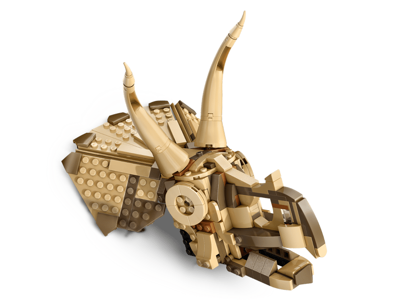 Dinosaurierfossilien Triceratops-Schädel (76969)