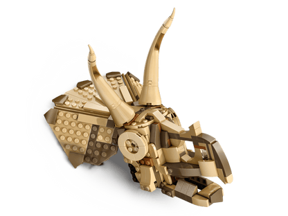 Dinosaurierfossilien Triceratops-Schädel (76969)