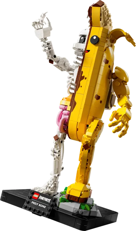 Schalenknochen (77072)