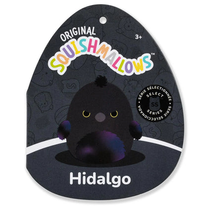Squishmallows - Hidalgo le Corbeau Noir