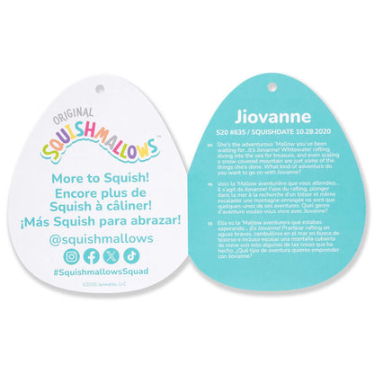 Squishmallows - Jiovanne le chat pervenche