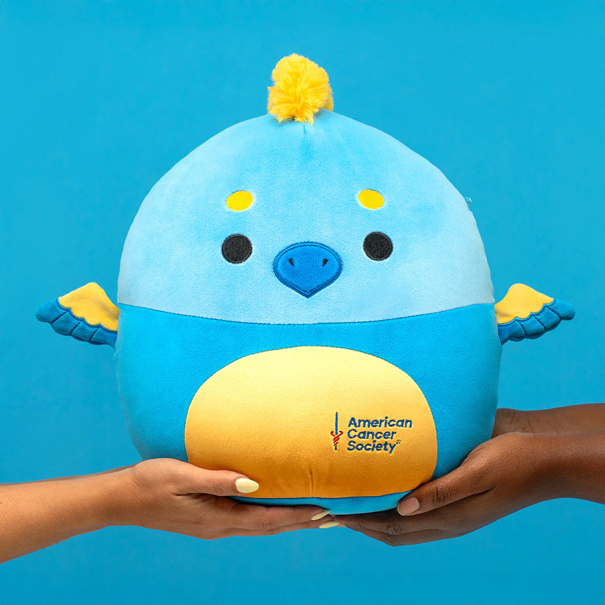 Squishmallows - Stephamos la Fenice Blu e Gialla (ACS)