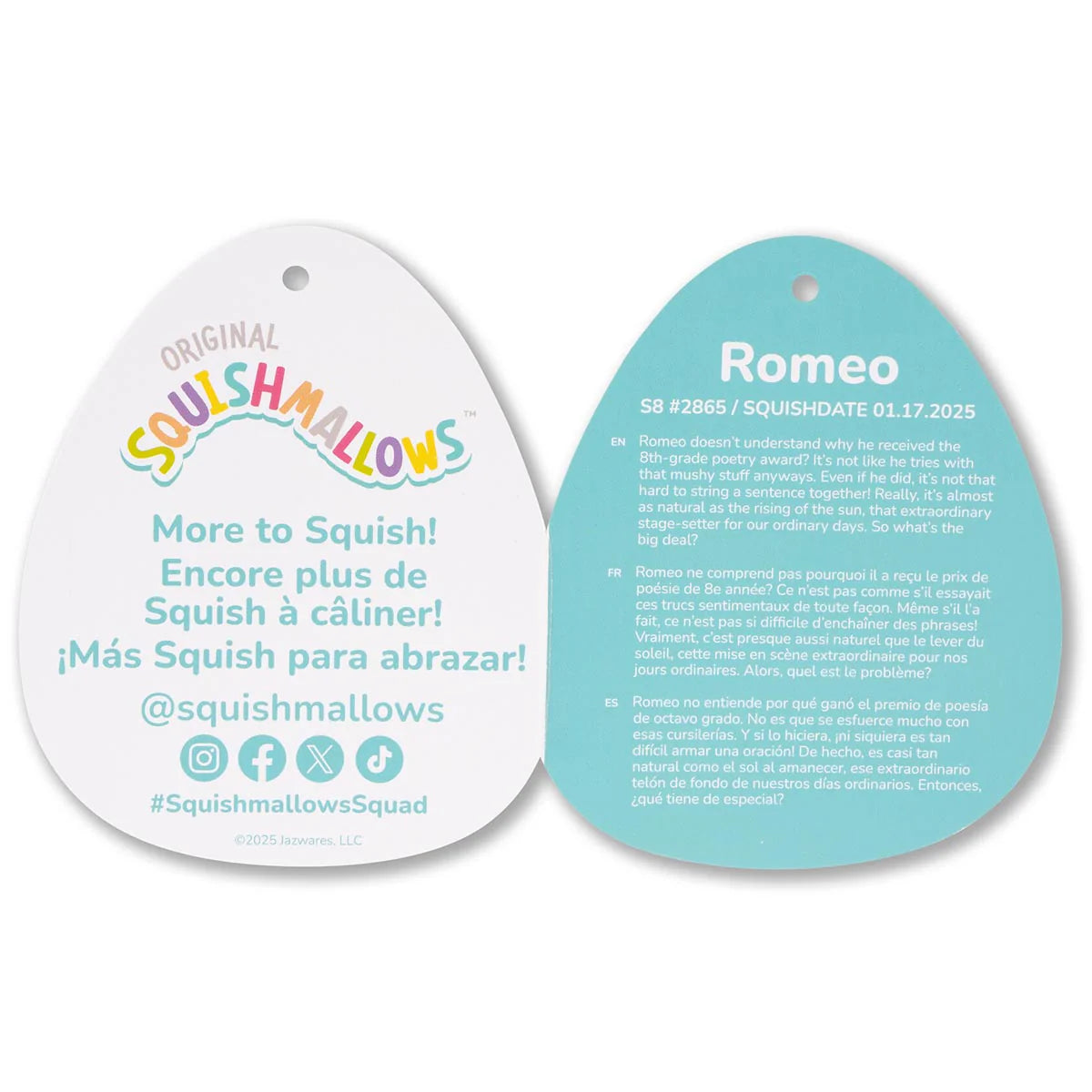 Squishmallows - Romeo l'orso rosso delle fragole
