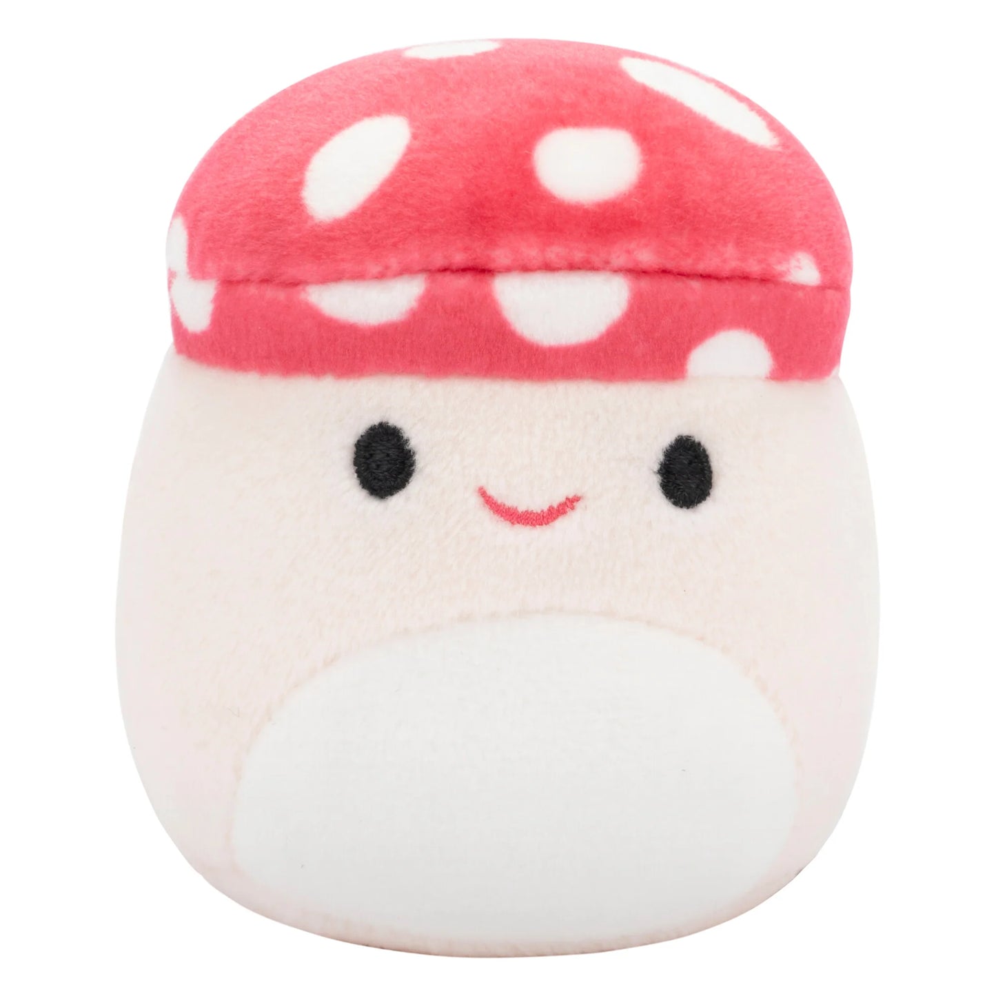 Squishmallows Micromallows 6er-Pack – Danny-Dinosaurier, Dane-Drache, Malcolm-Pilz, Lena-Guava-Frucht, Leonard-Löwe, Noah-Siegel