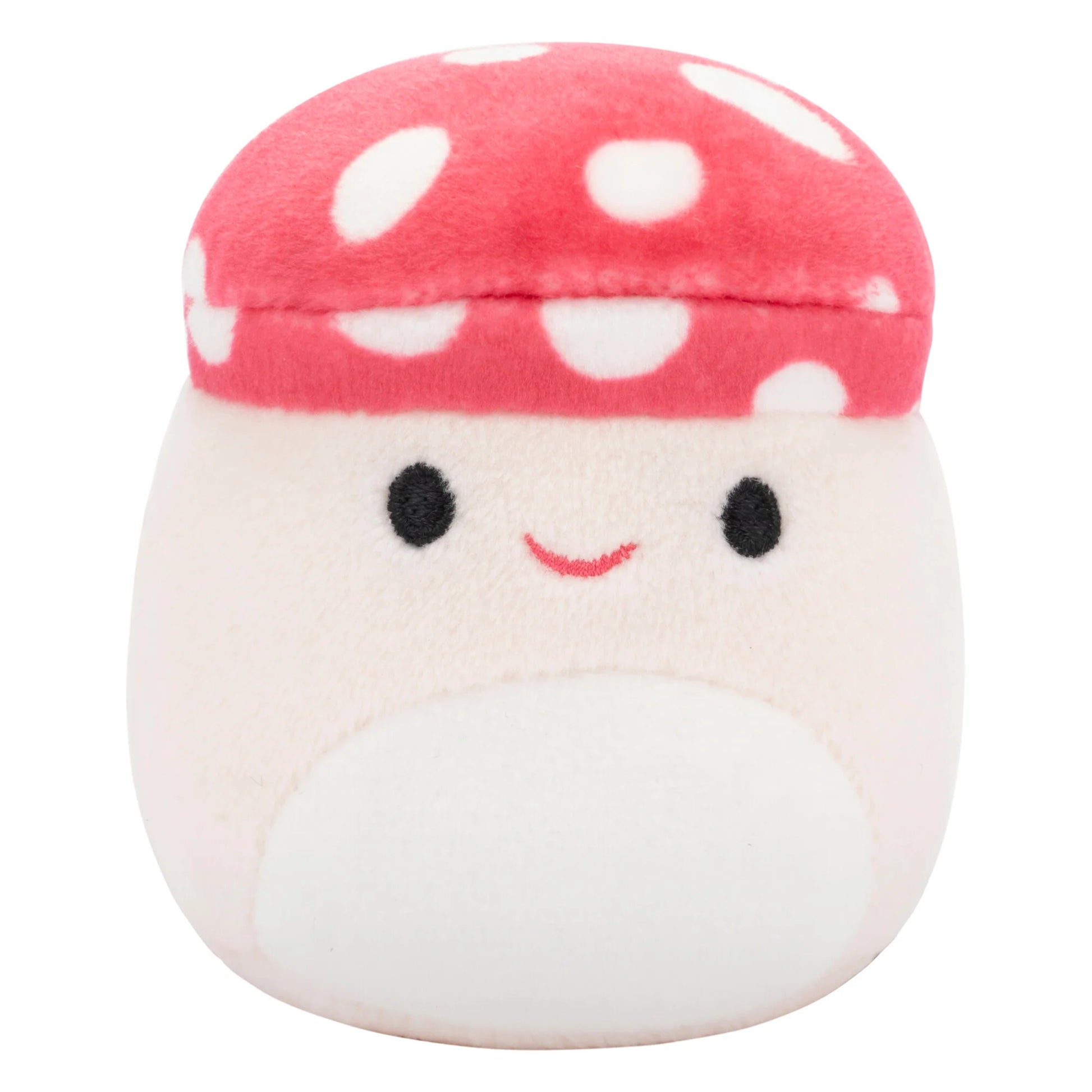 Squishmallows Micromallows 6er-Pack – Danny-Dinosaurier, Dane-Drache, Malcolm-Pilz, Lena-Guava-Frucht, Leonard-Löwe, Noah-Siegel