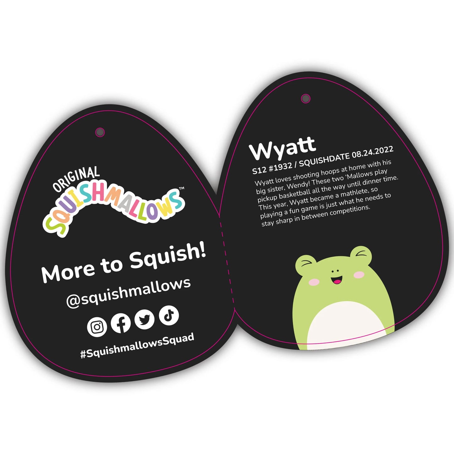 Squishmallows – Ausgewählte Serie Wyatt der Frosch