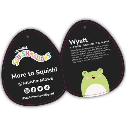 Squishmallows – Ausgewählte Serie Wyatt der Frosch