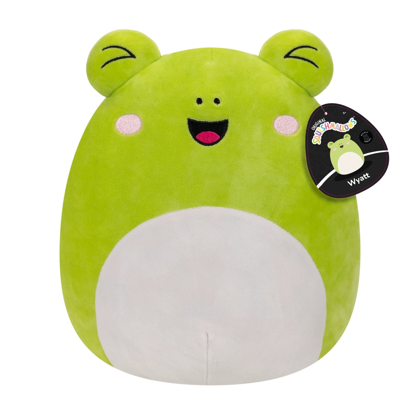 Squishmallows – Ausgewählte Serie Wyatt der Frosch