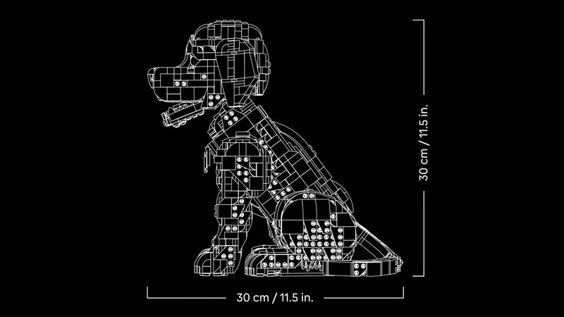 Golden Retriever Welpe 11384