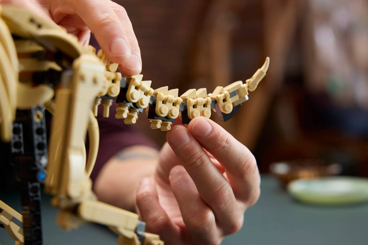 LEGO Jurassic World Dinosaur Fossils: Triceratops