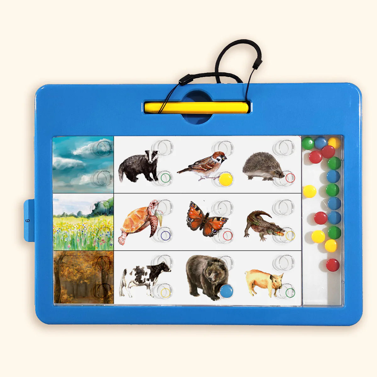 LOGIDOTS-Karten - Tiere