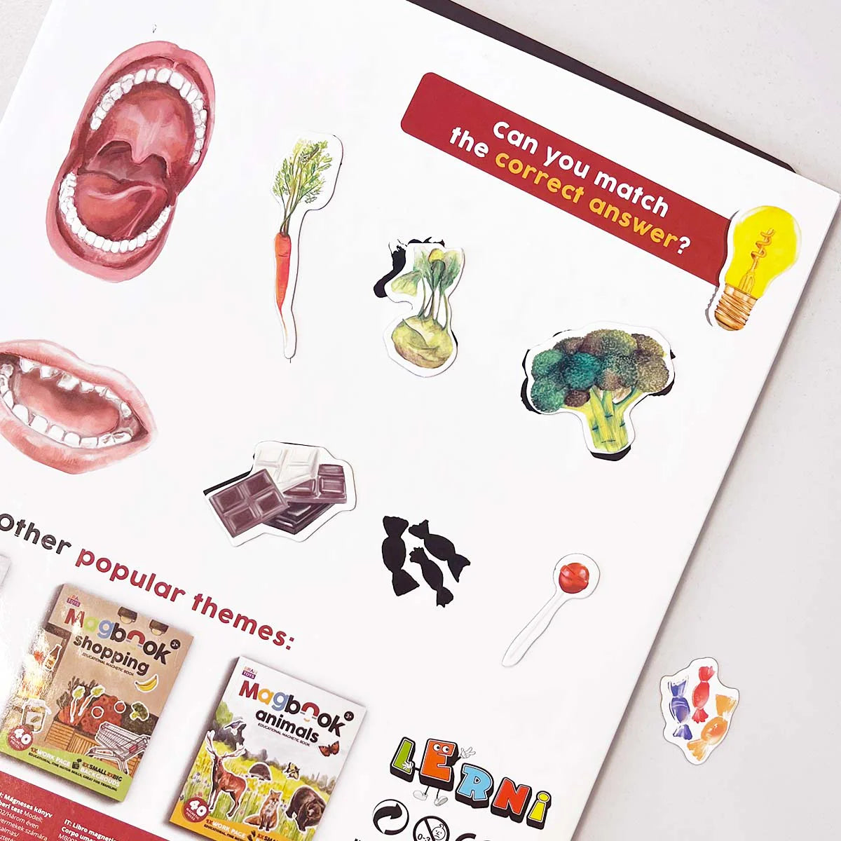 MAGBOOK – magnetisches Buch – menschlicher Körper