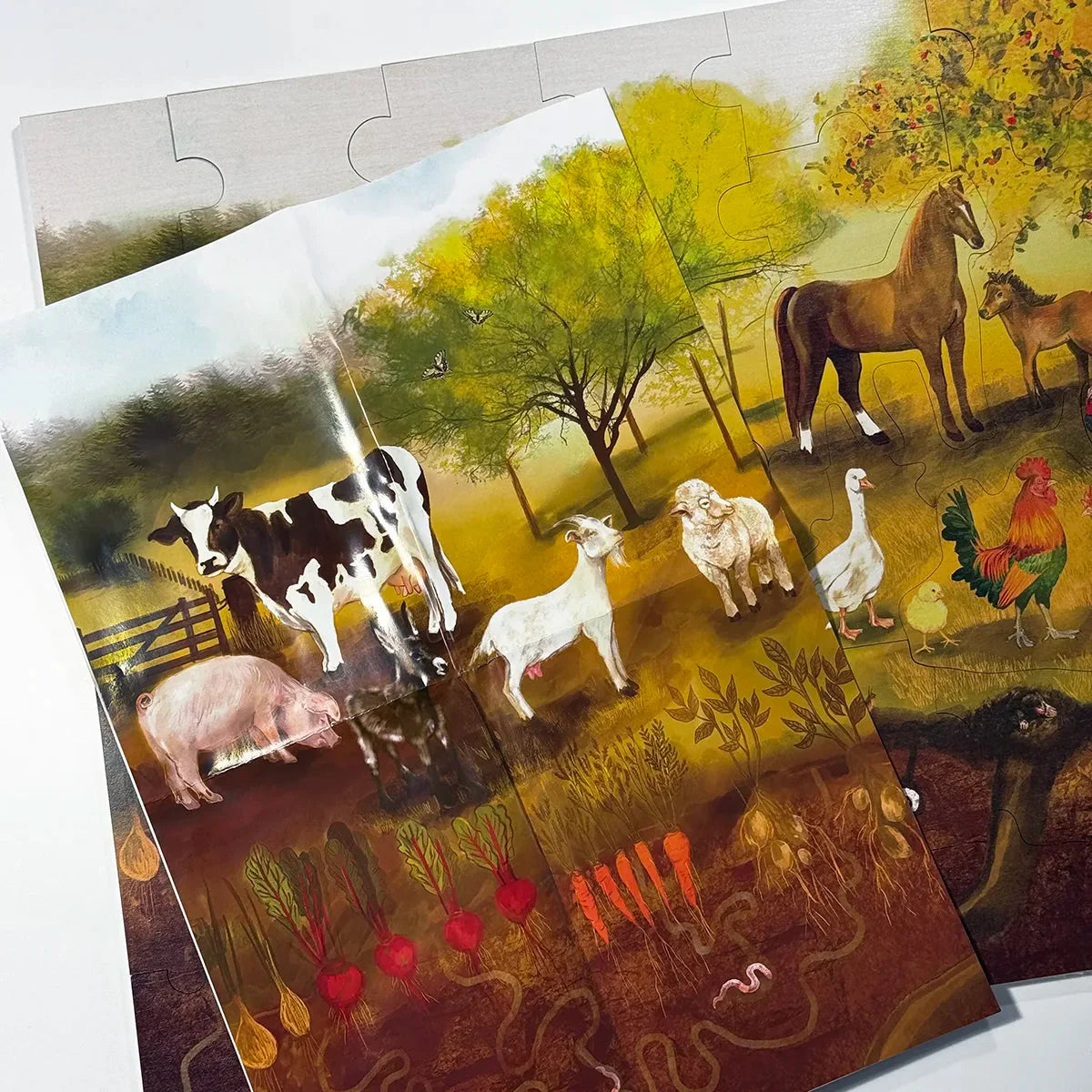 Puzzle de sol de ferme