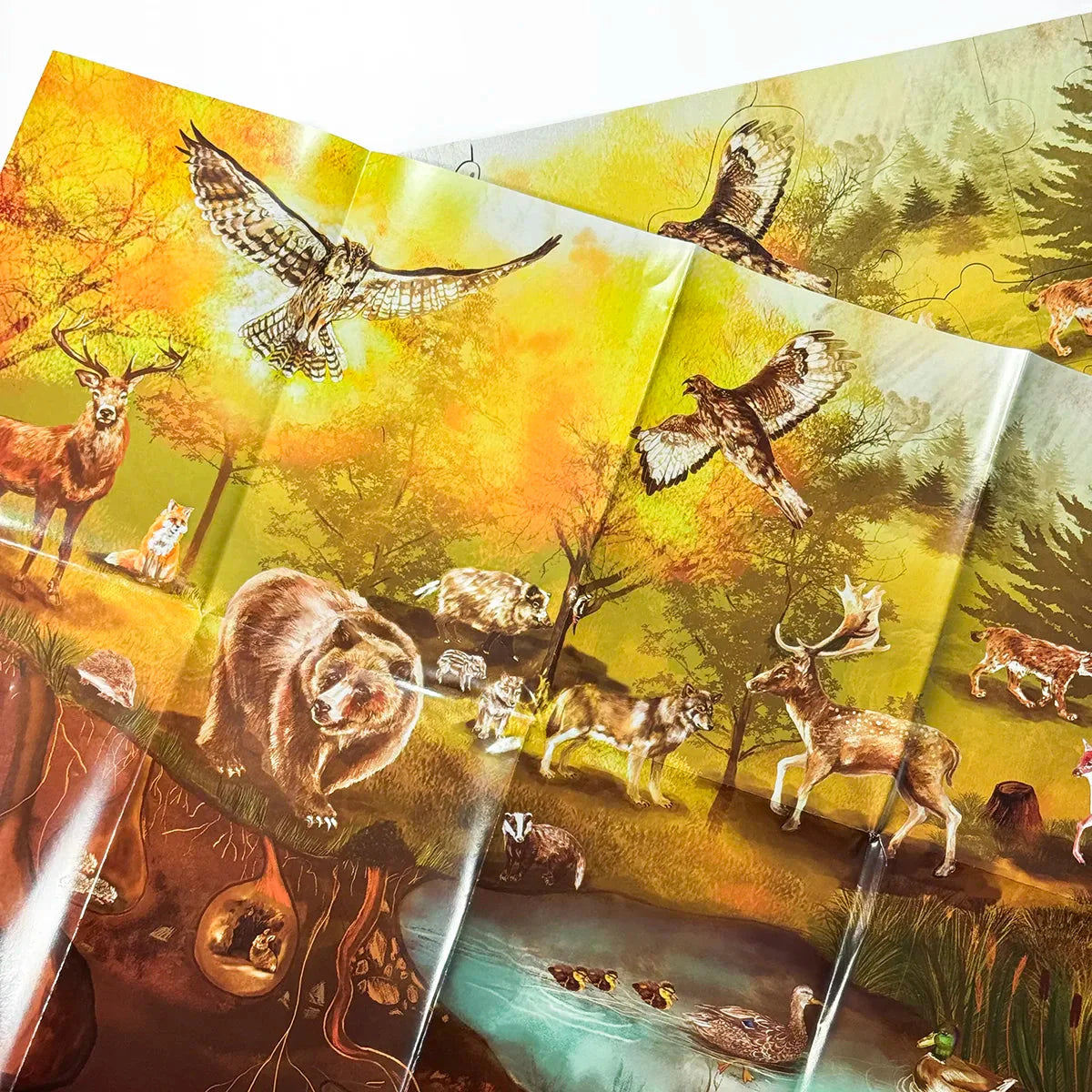 Waldbodenpuzzle