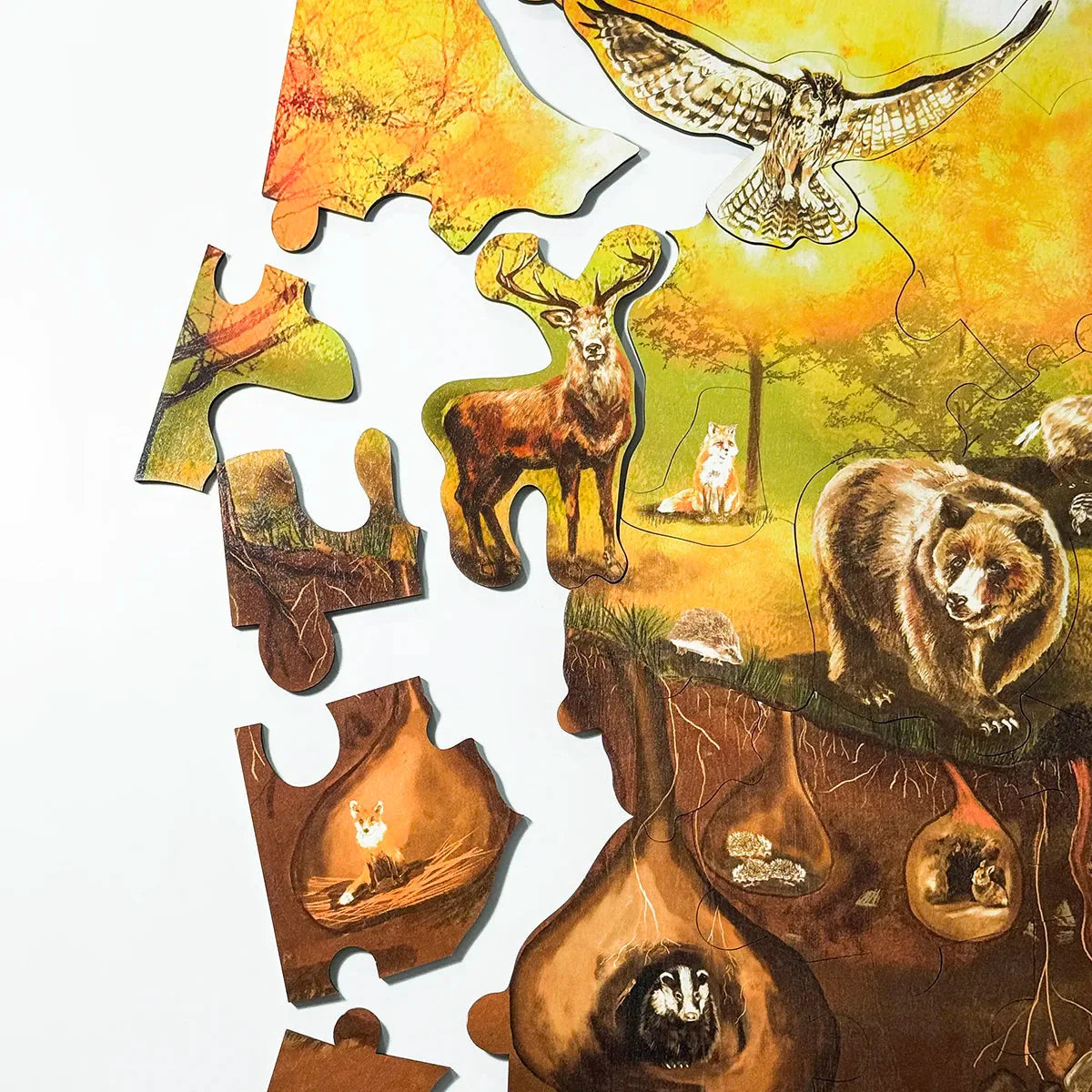 Waldbodenpuzzle
