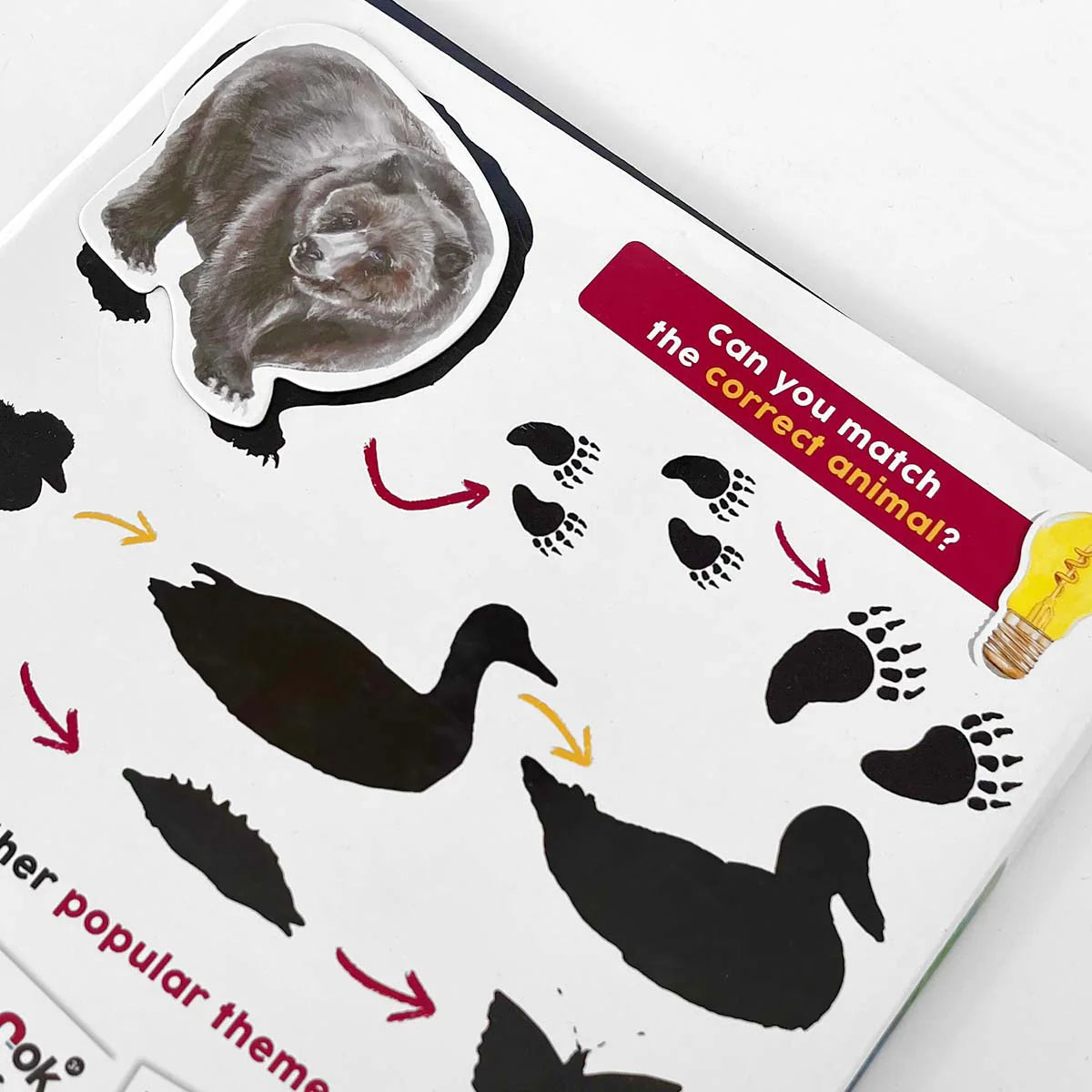 MAGBOOK - Magnetbuch - Tiere