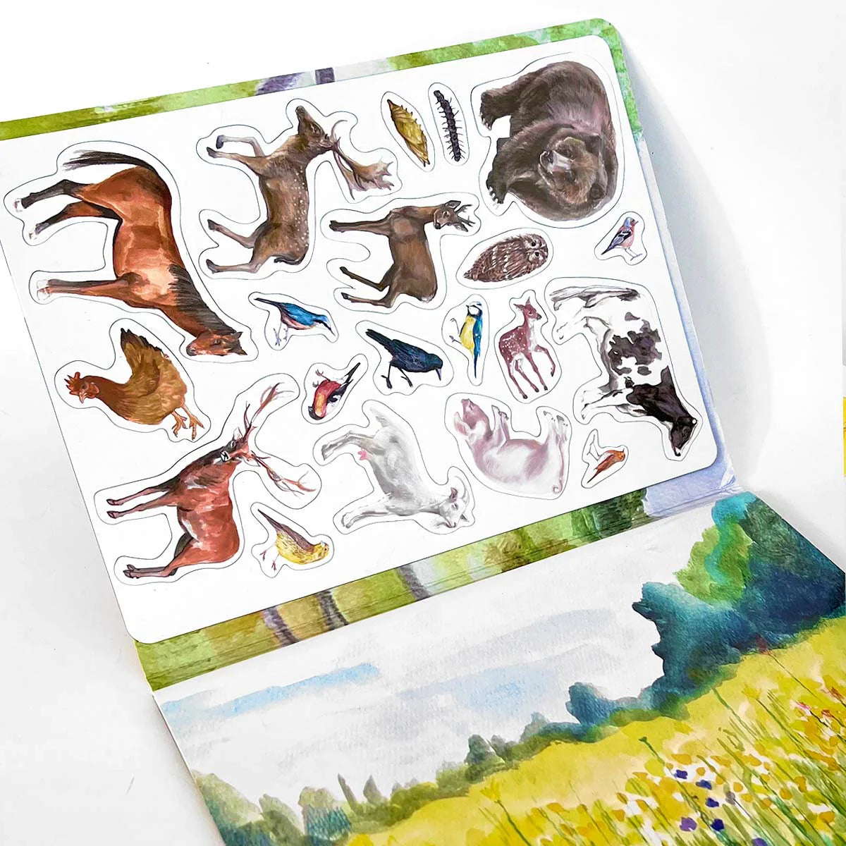 MAGBOOK - Magnetbuch - Tiere